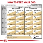 غذای خشک سگ بالغ یورینری اس او رویال کنین ا Royal Canin Urinary S/O Dry Dog Food