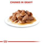 پوچ گربه بد غذا رویال کنین Instinctive Gravy اینستینکتیو گریوی